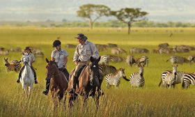 Safari Adventure Package